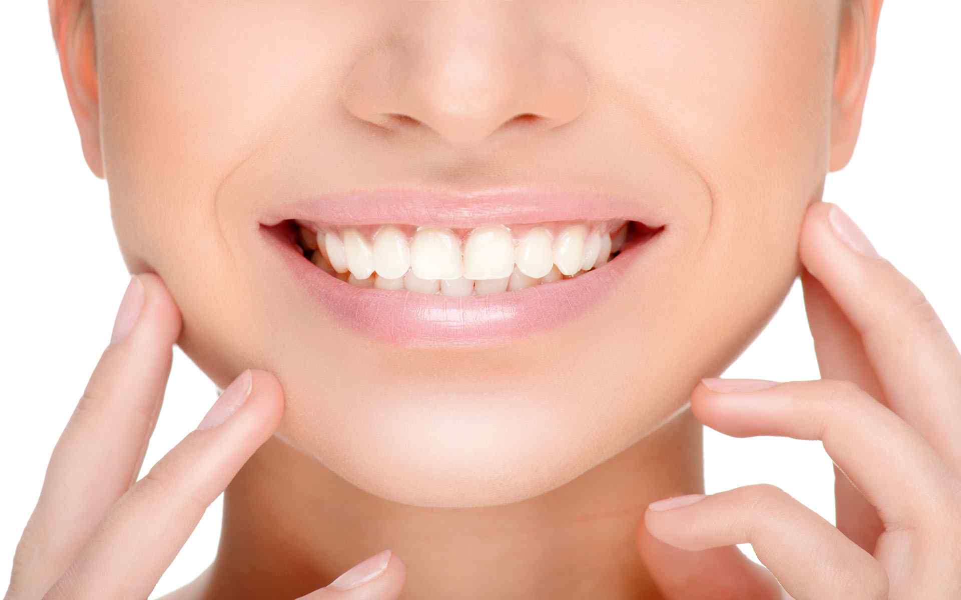 teeth-names-types-and-functions-pre-ov-dental-clinic